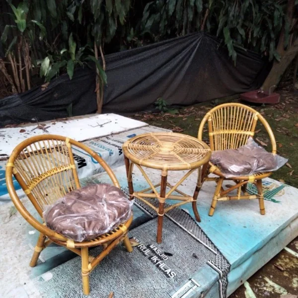 Minimalist Rattan Terrace Chair