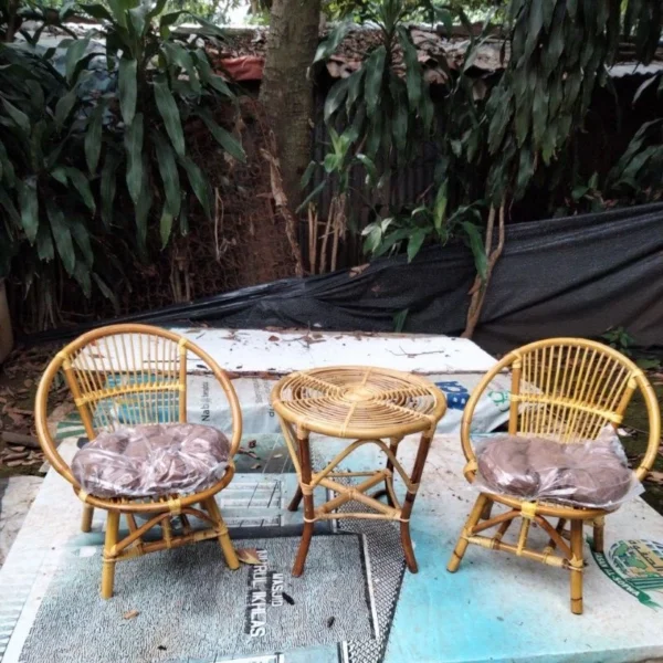 Minimalist Rattan Terrace Chair